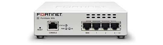 Fortigate-31G